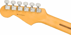 Fender American Professional II Stratocaster Maple Fingerboard Dark Night 0113902761 -L.A MUSIC Instruments 0113902761 fen ins hbk 1 nr