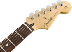 Fender Player Stratocaster, Pau Ferro Fingerboard, Black 0144503506 -L.A MUSIC Instruments 0144503506 gtr hdstckfrt 001 nr