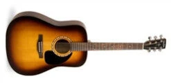 Simon & Patrick Songsmith Acoustic Guitar 030088