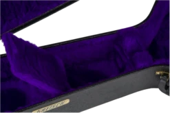 Gretsch G6296 CASE ROUND NecK RESO B2033 F-0996495000 -L.A MUSIC Instruments 0996495000 merch dtl 003 nr