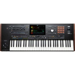 Korg PA5X-61 61 Key Professional Arranger PA5X61
