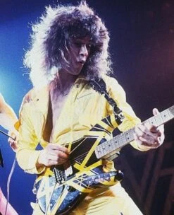 EVH 79 Tribute Relic Bumblebee - Black With Yellow Stripes -L.A MUSIC Instruments 4072914d32daec50c4352ce996265d61