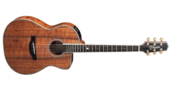 Takamine THE 60th Anniversary Model Acoustic Electric