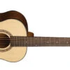 Washburn Apprentice G-Mini Acoustic Travel Size Grand Auditorium With Bag AGM5K-A