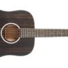 Washburn Deep Forest Dreadnought Acoustic Guitar, Striped Ebony DFED