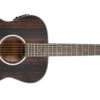 Washburn Deep Forest Folk Acoustic Electric Guitar Striped Ebony DFEFE