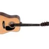 Sigma DM-1ST Acoustic Guitar