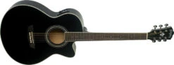 Washburn Festival Acoustic-Electric Guitar EA12B-A
