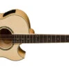 Washburn EA20-A Festival Natural Florentine Spruce Flame Maple