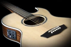 Washburn EA20SNB Nuno Signature Acoustic Natural Nuno Signature Solid Sitka Spruce Rosewood -L.A MUSIC Instruments EA20SNB BS 1