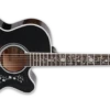 Takamine Guitar Acoustic EF450C-TT-TBB GLOSS TRANS BLACKBURST