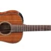 Takamine Legacy Series New Yorker Parlor Acoustic/Electric Guitar Natural Gloss EF407