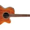 Takamine Pro Series NEX All Koa Acoustic Electric Guitar, Natural With Case