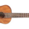 Takamine Acoustic Electric Tenor Ukulele EGU-T1