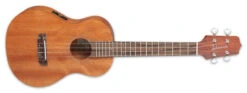 Takamine Acoustic Electric Tenor Ukulele EGU-T1