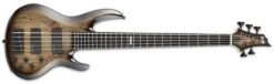 ESP E-II BTL-5 Electric Bass Transparent Natural Sunburst EIIBTL5BLKNB