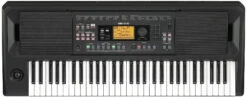 Korg EK-50 Entertainer Keyboard EK50