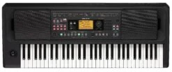 Korg 61-Key Entertainer Keyboard Great Sound Light And Portable EK50L