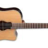 Takamine Pro Series Garth Brooks Dreadnought Natural With Case GB7C