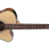 Takamine G Series Acoustic Electric Bass Guitar, Venetian Cutaway Natural GB30CE-NAT