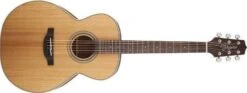 Takamine Nex Acoustic Guitar, Natural GN20-NS