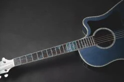 Takamine Limited Edition 2021 Rose Acoustic Electric Guitar - Only 1 Available LTD2021-BLUE-ROSE -L.A MUSIC Instruments IMG 0770