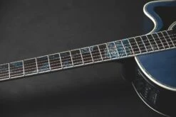 Takamine Limited Edition 2021 Rose Acoustic Electric Guitar - Only 1 Available LTD2021-BLUE-ROSE -L.A MUSIC Instruments IMG 0771