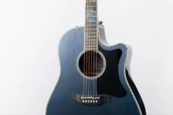 Takamine Limited Edition 2021 Rose Acoustic Electric Guitar - Only 1 Available LTD2021-BLUE-ROSE -L.A MUSIC Instruments IMG 1079