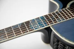 Takamine Limited Edition 2021 Rose Acoustic Electric Guitar - Only 1 Available LTD2021-BLUE-ROSE -L.A MUSIC Instruments IMG 1093