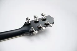 Takamine Limited Edition 2021 Rose Acoustic Electric Guitar - Only 1 Available LTD2021-BLUE-ROSE -L.A MUSIC Instruments IMG 1103