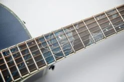 Takamine Limited Edition 2021 Rose Acoustic Electric Guitar - Only 1 Available LTD2021-BLUE-ROSE -L.A MUSIC Instruments IMG 1108