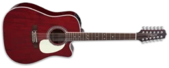 Takamine John Jorgenson Signature 12-String Acoustic-Electric Guitar With Hard Case JJ325SRCL-12