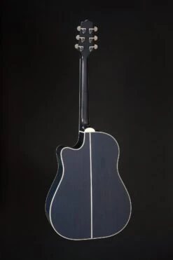 Takamine Limited Edition 2021 Rose Acoustic Electric Guitar - Only 1 Available LTD2021-BLUE-ROSE -L.A MUSIC Instruments LTD2021proto 02