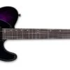 ESP LTD TE-200DX Electric Guitar, Purple Burst LTE200DXPRB