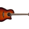 Ovation Celebrity Standard Mid Depth Cutaway Sunburst CS24-1