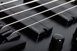 Schecter 5 String Bass SLS Evil Twin-5 Satin Black 1395-SHC -L.A MUSIC Instruments SLS ELITE 5 EVIL TWIN PICKUPS5