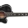 Takamine Thinline Solid Spruce Top 12 String Acoustic Guitar With Case, See-Through Black TSP158C-12-SBL