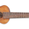 Takamine Mahogany Acoustic Electric Soprano Ukulele EGU-S1