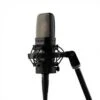 Warm Audio Large-diaphragm Condenser Microphone With 3 Switchable Polar Patterns And 10dB/20dB Pad - Black WA14