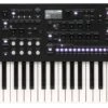 Korg Special Edition 61-Key Wave Sequencing Synthesizer WAVESTATESE