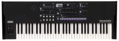 Korg Special Edition 61-Key Wave Sequencing Synthesizer WAVESTATESE