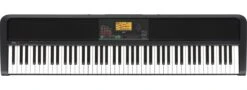 Korg 88 Key NH Arranger Piano With Speakers 120 Poly Stand And 3 Pedals Included XE20SP -L.A MUSIC Instruments XE20SP hqw 3