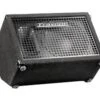 Traynor BLOCK10 200 Watt Keyboard Amp