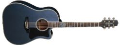 Takamine Limited Edition 2021 Rose Acoustic Electric Guitar - Only 1 Available LTD2021-BLUE-ROSE