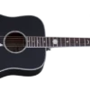 Schecter RS-1000-BUSK-ACOUSTIC-BLK RS-1000-BUSK-ACOUSTIC-BLK 283-SHC