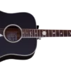 Schecter RS-1000-STG-ACOUSTIC-BLK 282-SHC