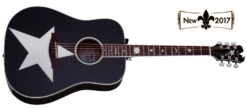 Schecter RS-1000-STG-ACOUSTIC-BLK 282-SHC