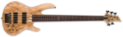 ESP LTD Spalted Maple Fretless Bass Guitar Natural Satin LB205SMFLNS